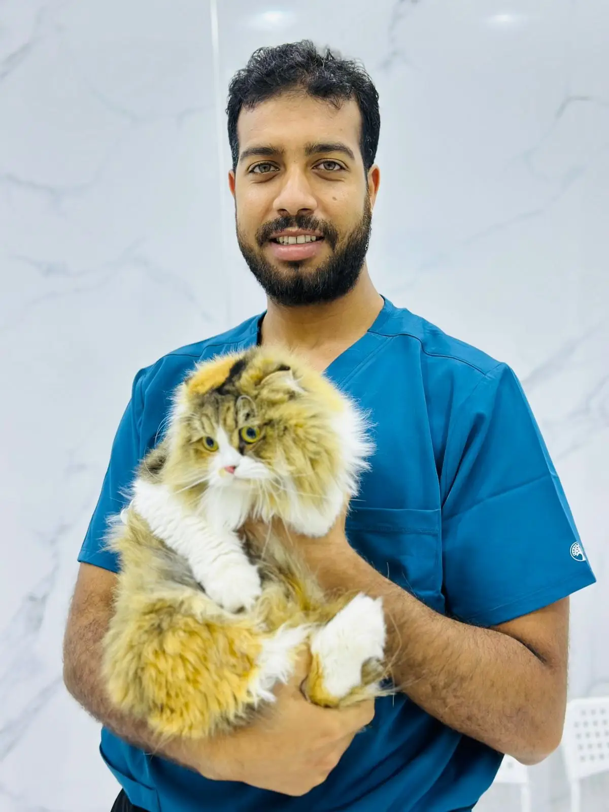 طبيب يحمل قطًا طويل الشعر بعد الفحص