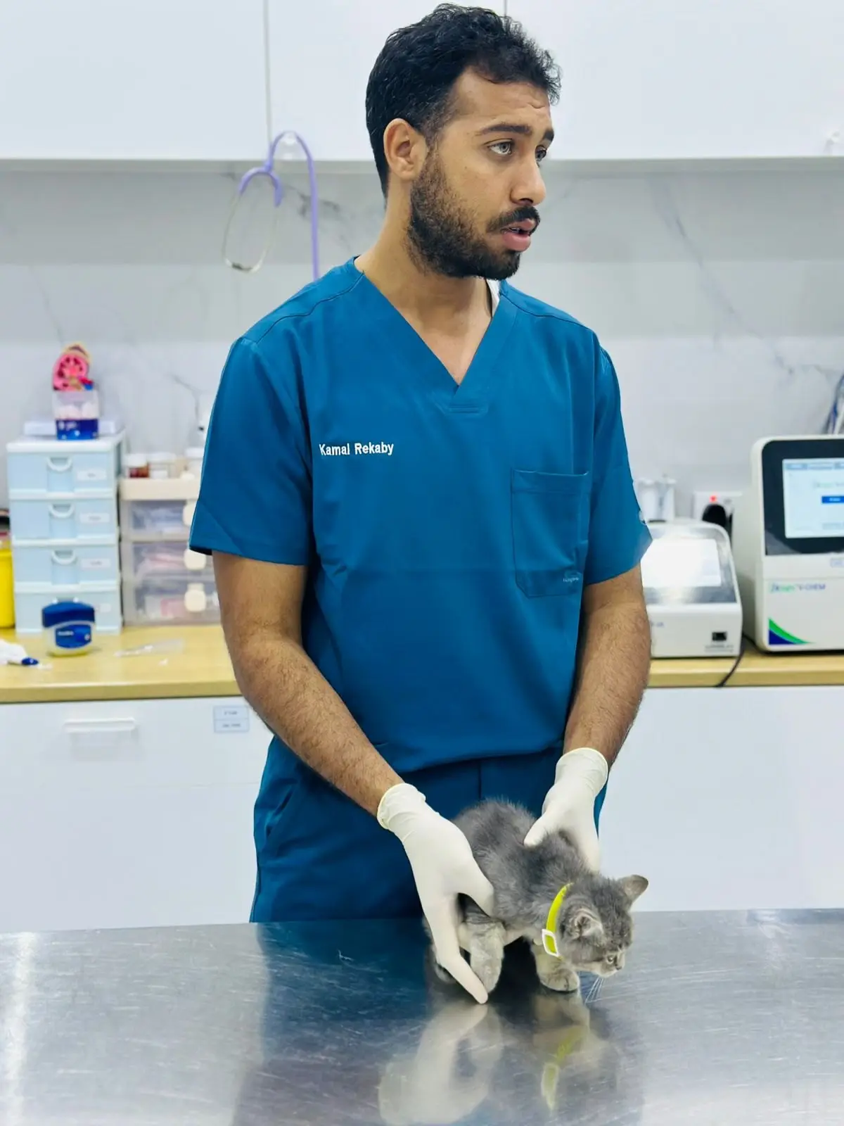 طبيب بزي أزرق يثبّت قطة رمادية صغيرة على الطاولة المعدنية، وخلفه أجهزة التحليل على المنضدة