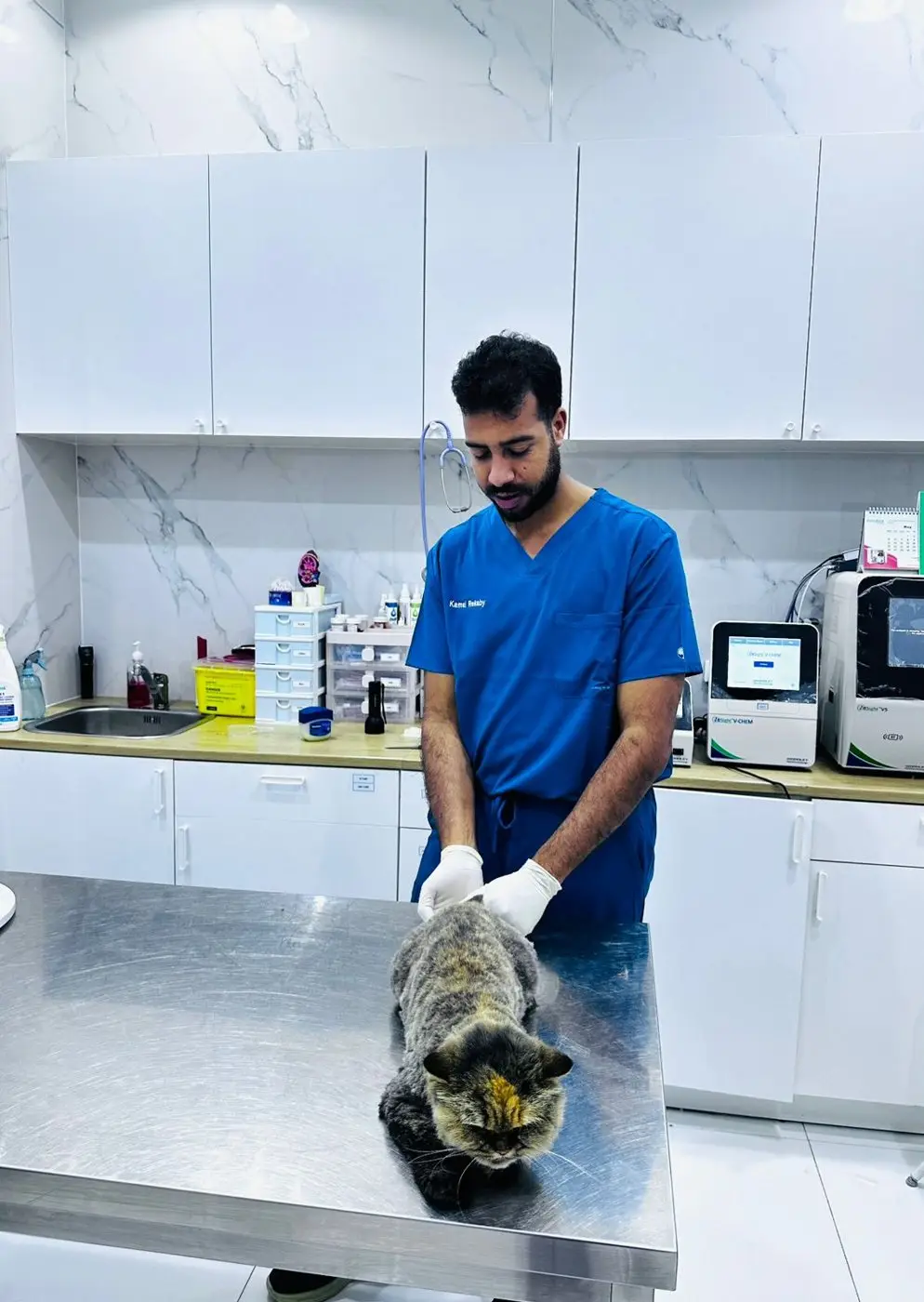 Bearded male vet in blue scrubs standing behind cat on steel table, lab analysers and cabinets behind