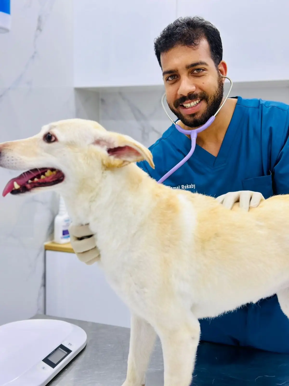 A Petflix vet in blue scrubs, stethoscope in his ears, steadies a cream dog on the examination table