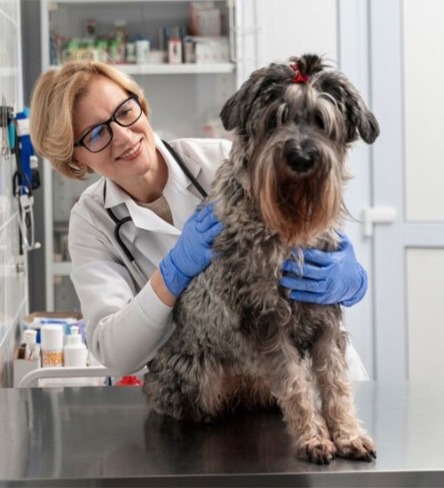 Veterinary Pharmacy Dubai