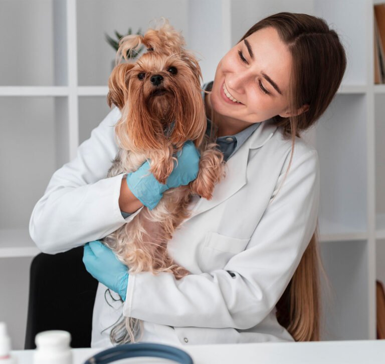 Pet Dental Care